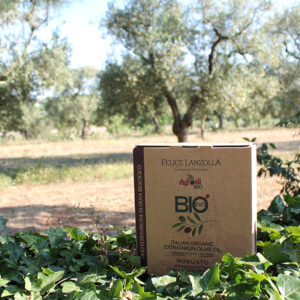 Olio Extravergine di Oliva Biologico "Robusto" - Felice Lanzolla | 100% Italiano (Copia)